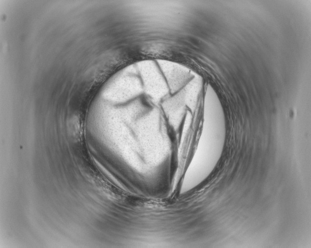 X0000087030420200705141927