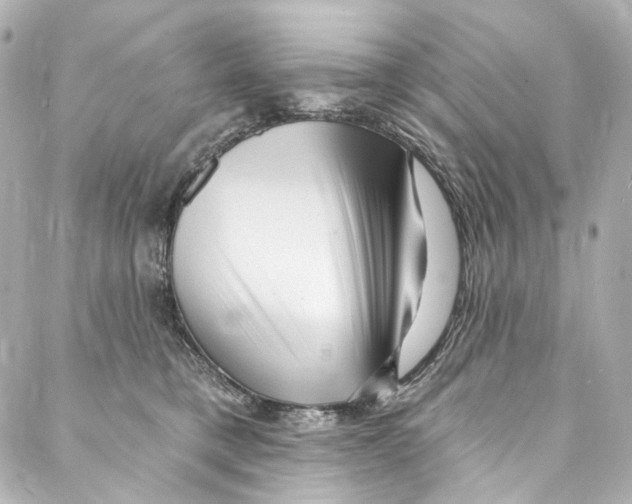 X0000087030421200705141927