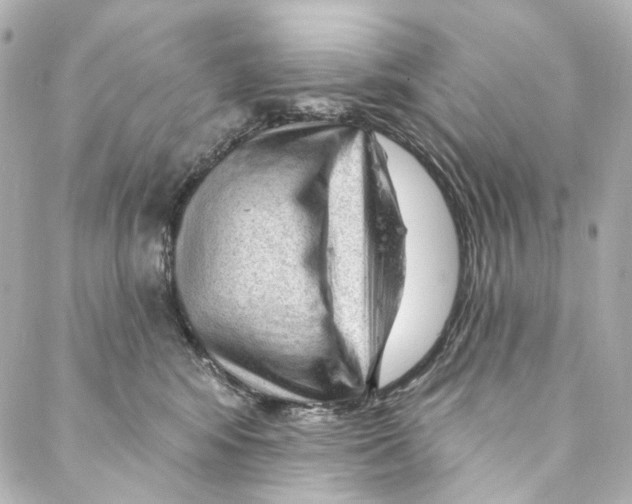 X0000087030424200705141927