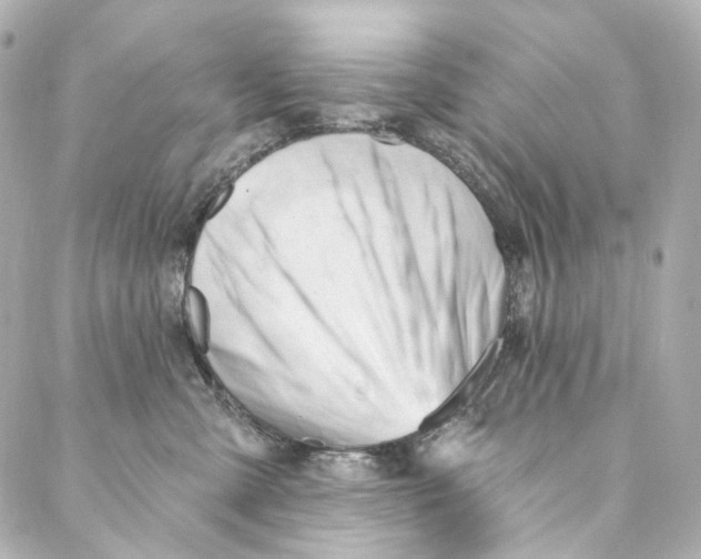 X0000087030427200705141927