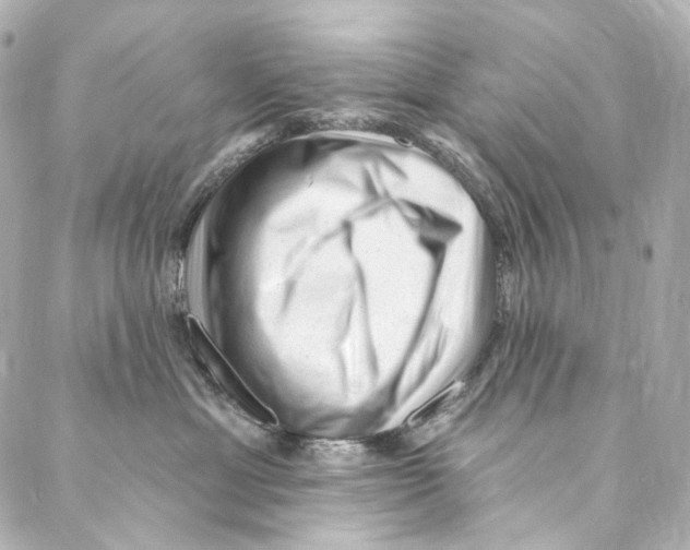 X0000087030429200705141927