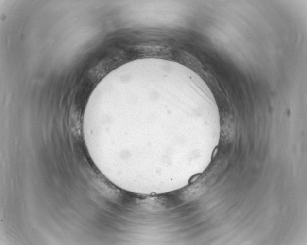 X0000087030430200705141927