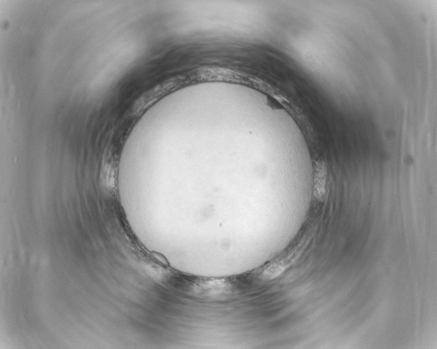 X0000087030431200705141927