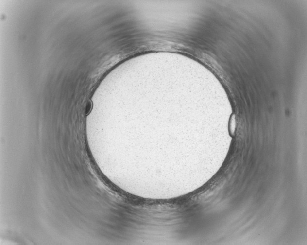 X0000087030433200705141926