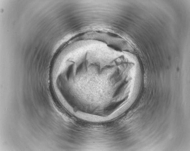 X0000087030438200705141926