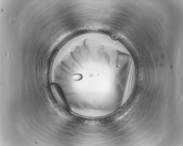 X0000087030440200705141926