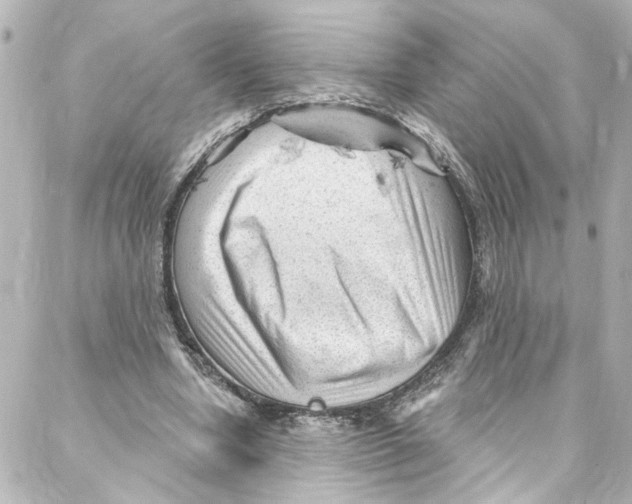 X0000087030442200705141926