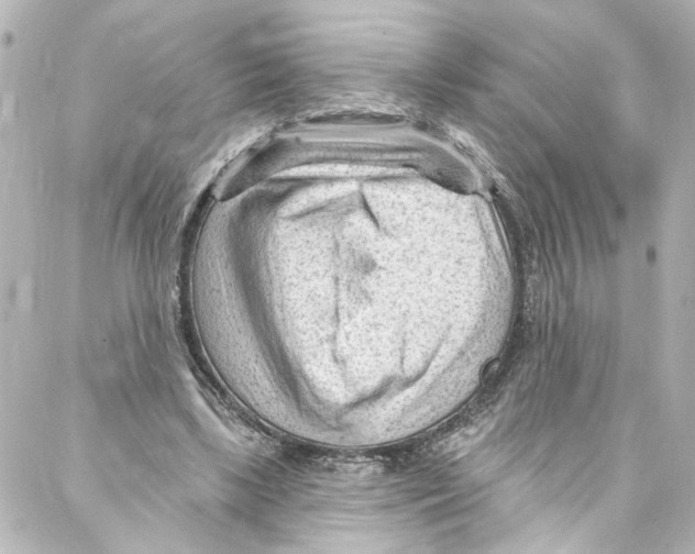 X0000087030443200705141926