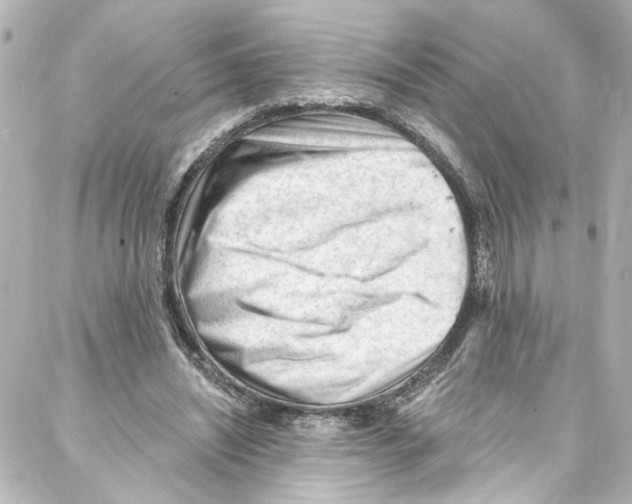 X0000087030444200705141926