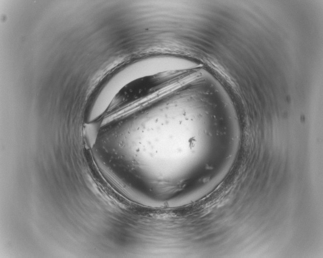 X0000087030446200705141926