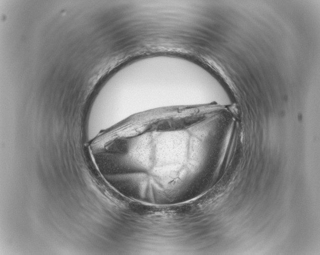 X0000087030447200705141926