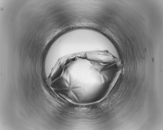 X0000087030448200705141926