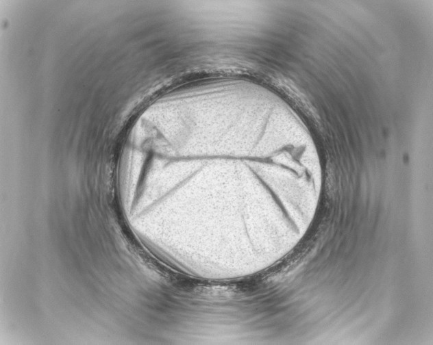 X0000087030449200705141926