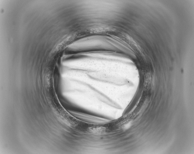 X0000087030452200705141926