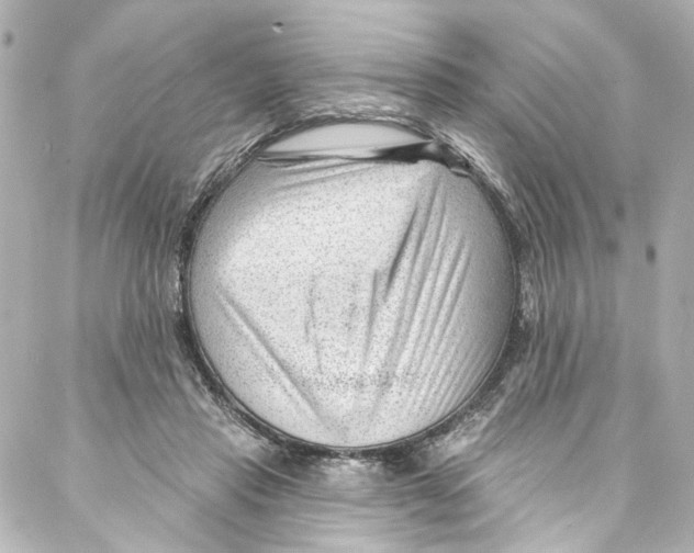 X0000087030453200705141926