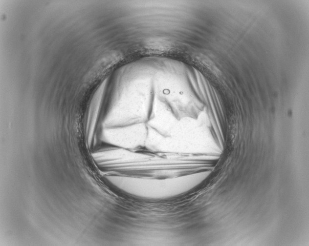 X0000087030455200705141926