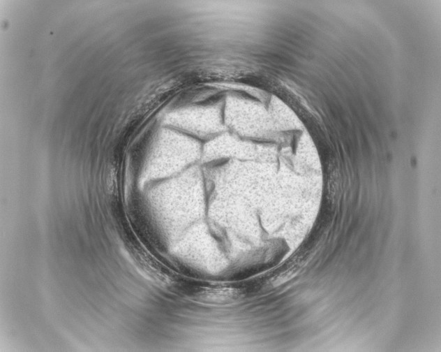 X0000087030459200705141926