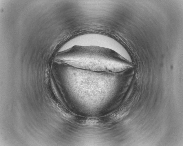 X0000087030462200705141926