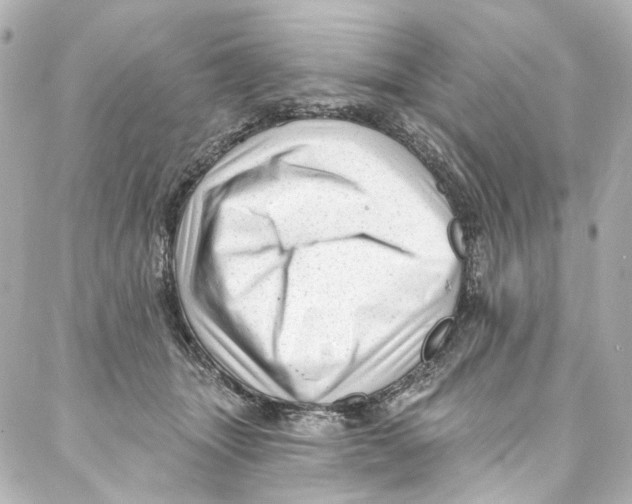 X0000087030463200705141926