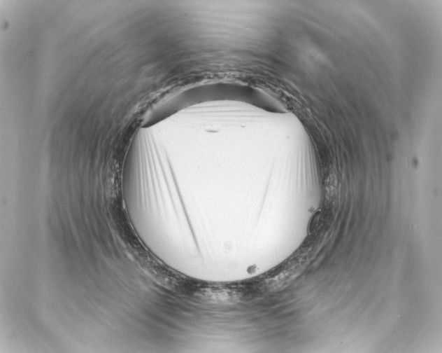 X0000087030464200705141926