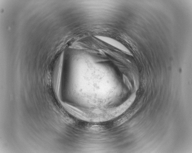 X0000087030467200705141926