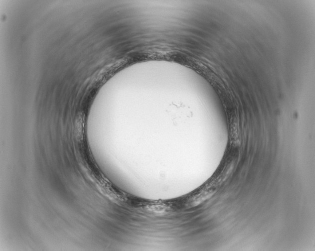 X0000087030468200705141926