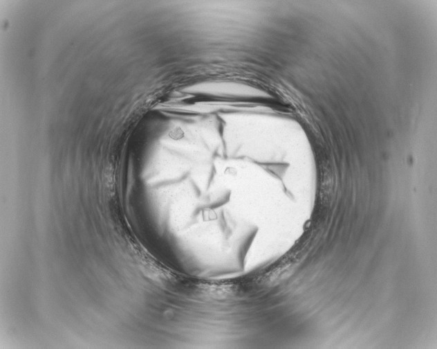 X0000087030469200705141926