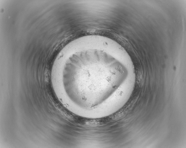 X0000087030470200705141926