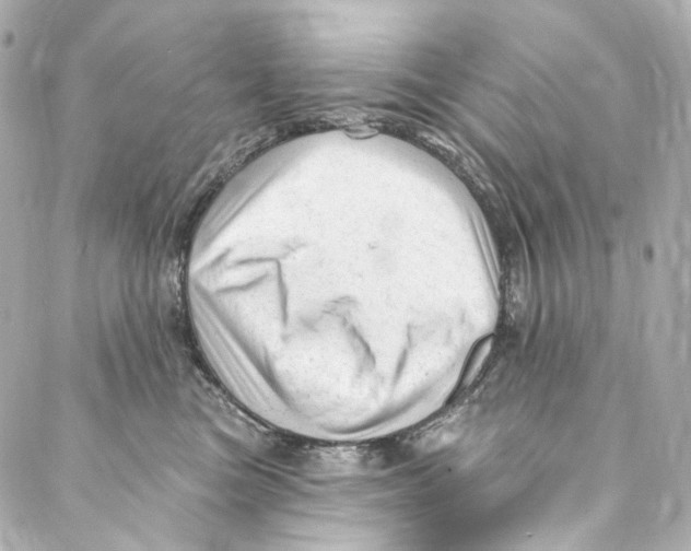 X0000087030473200705141926