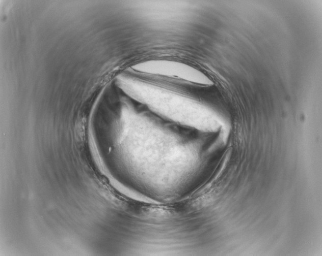 X0000087030475200705141926