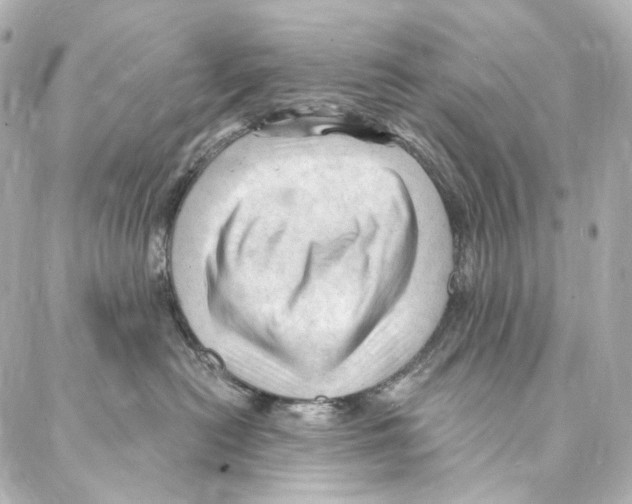 X0000087030478200705141927