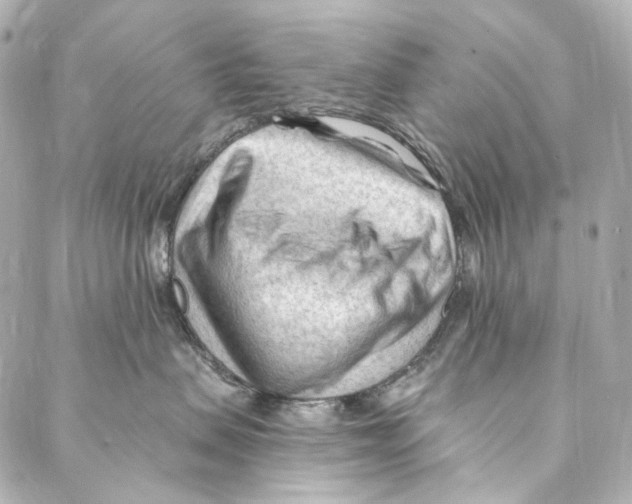 X0000087030479200705141927