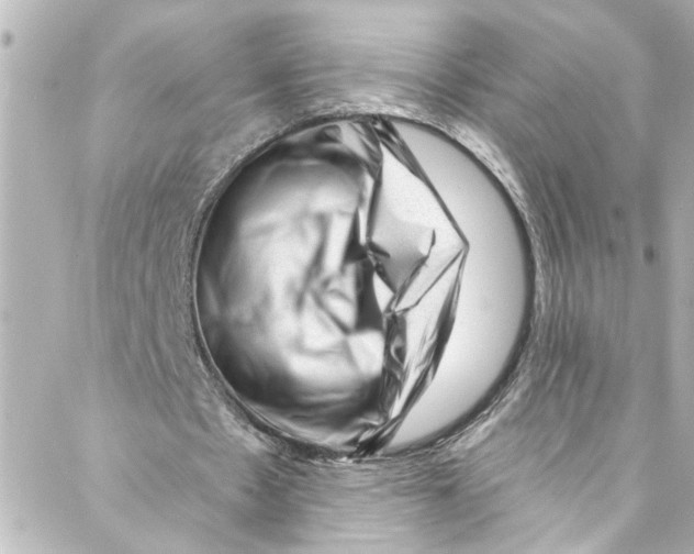 X0000087030481200705141926