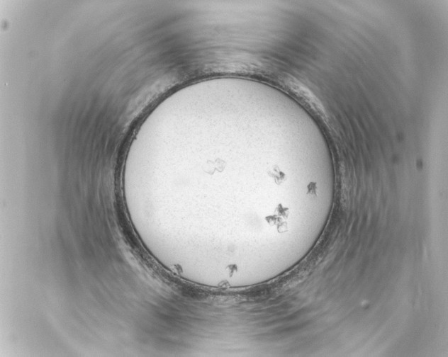 X0000087030482200705141926