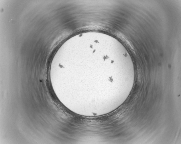 X0000087030486200705141926