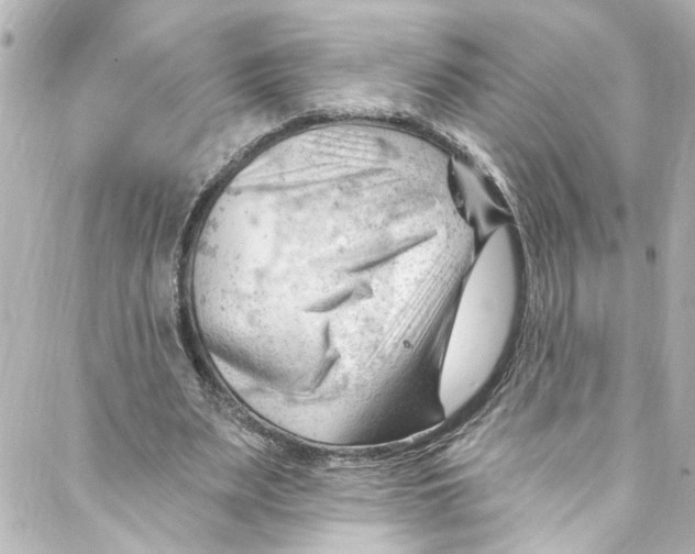 X0000087030487200705141926