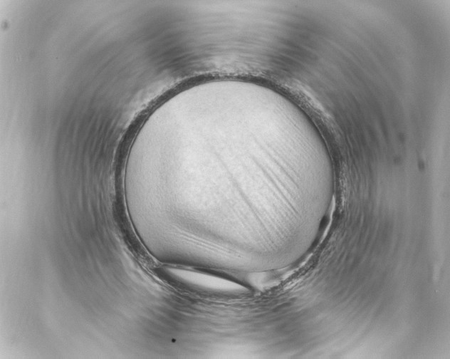 X0000087030488200705141926