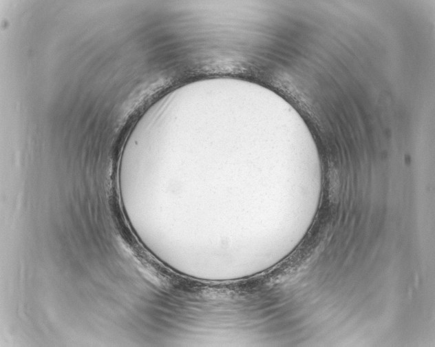 X0000087030490200705141926