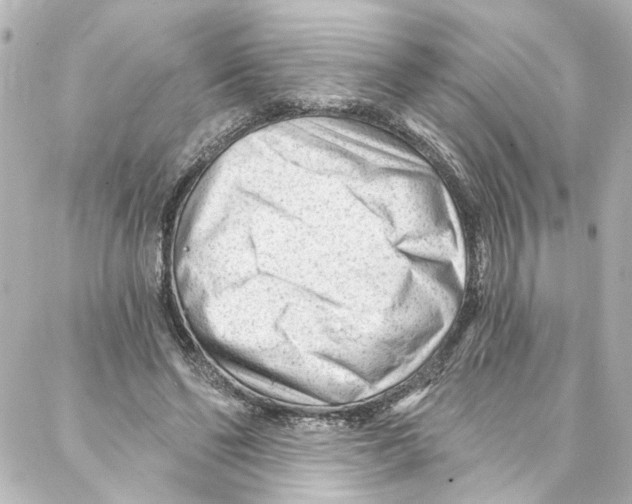 X0000087030494200705141926