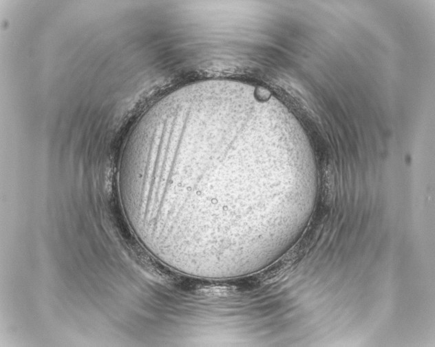 X0000087030499200705141925