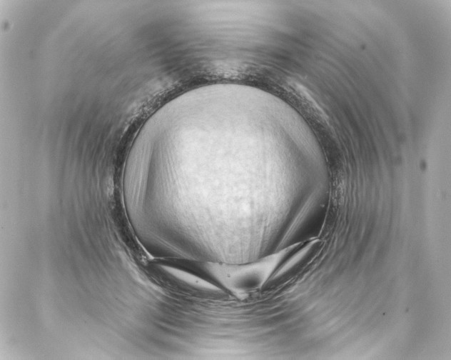 X0000087030500200705141925