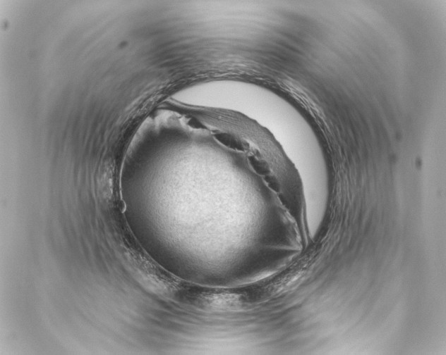 X0000087030501200705141925