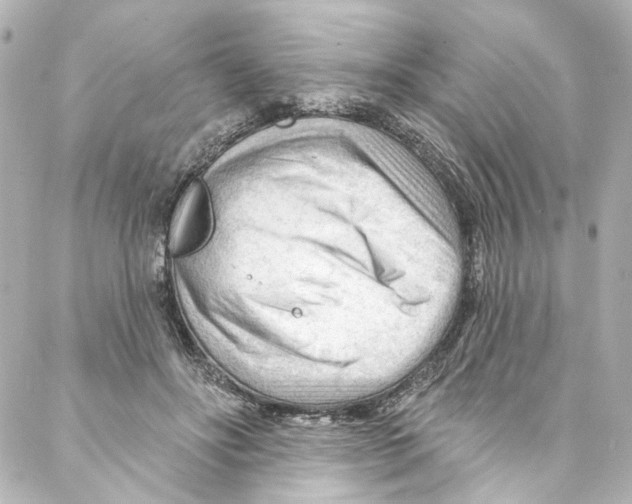 X0000087030502200705141925