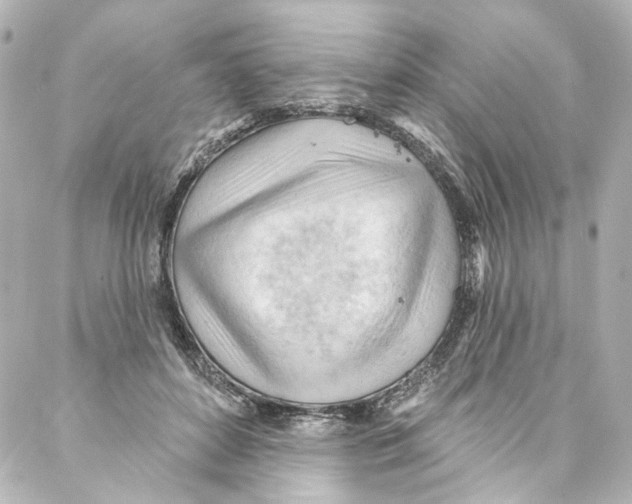 X0000087030504200705141925