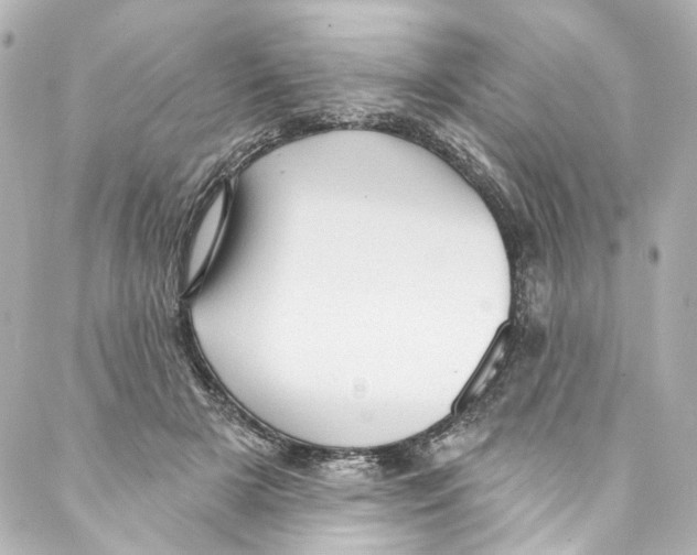 X0000087030505200705141925