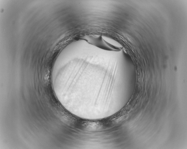 X0000087030507200705141925