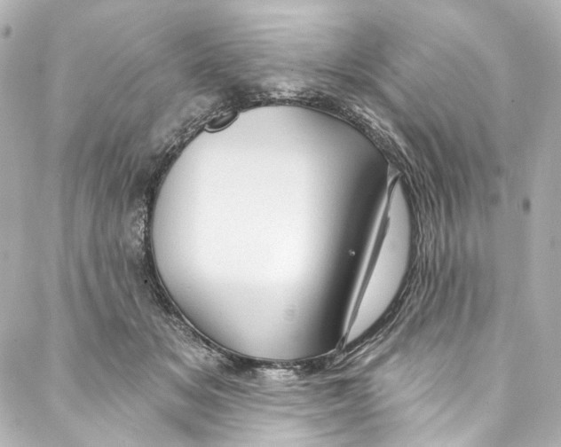 X0000087030509200705141925