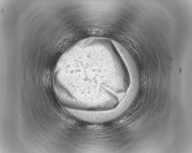 X0000087030511200705141925