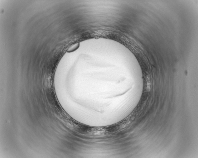 X0000087030514200705141925