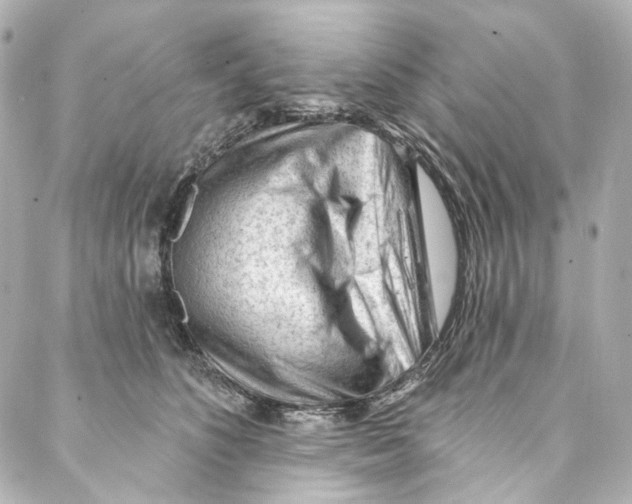 X0000087030516200705141925